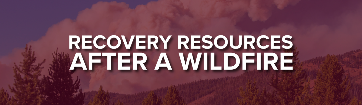 Recovery Resources after a Wildfire